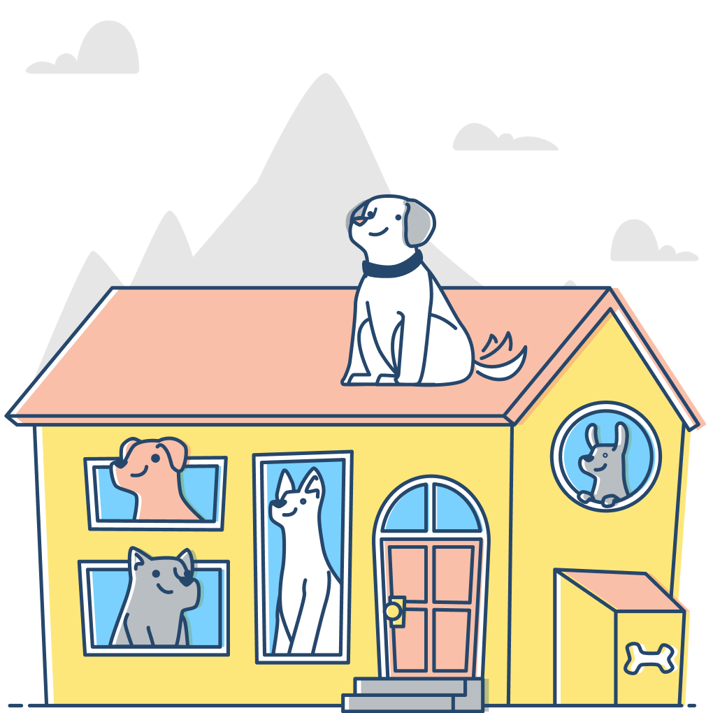pet-trainer-illustration-06@2x